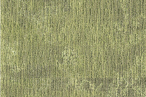 Ковровая плитка Milliken Poise poi 78-62 Insight фото  | FLOORDEALER